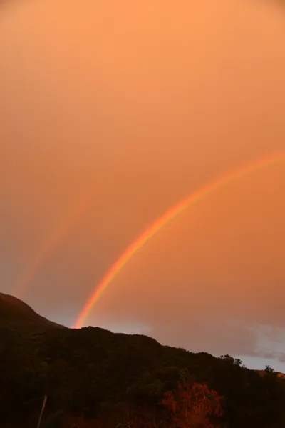 DSC_6056 (Large).JPG